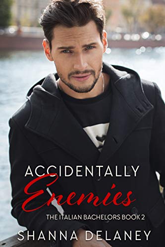 The Italian Bachelors book cover 2