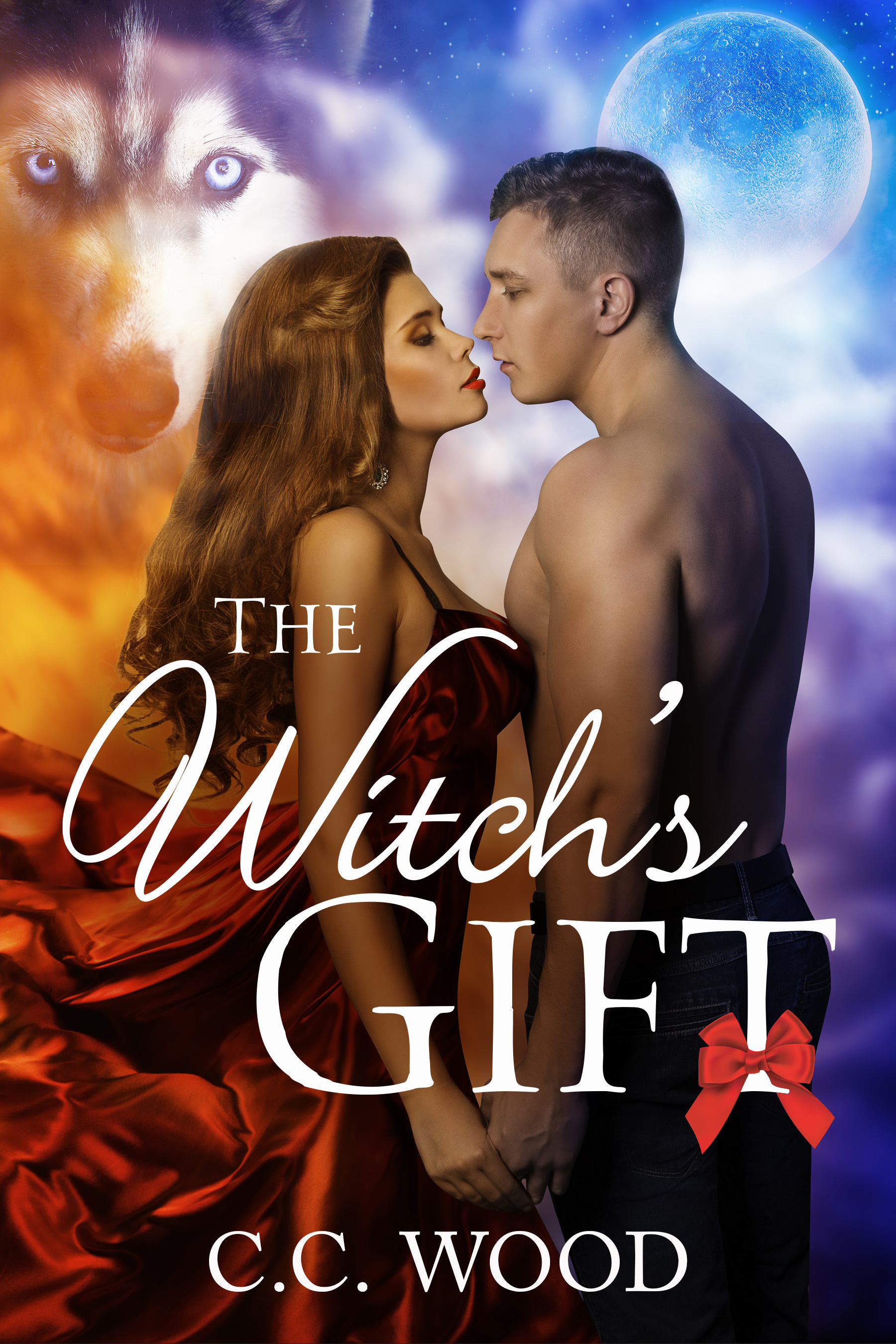 The Witch's Gift book cover