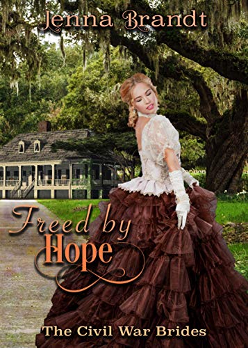 The Civil War Brides book cover 2