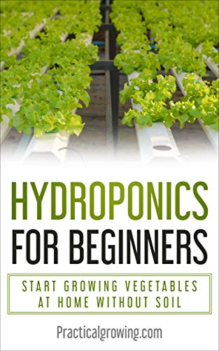 Hydroponics for Beginners: Start Growing Vegetables at Home Without ...