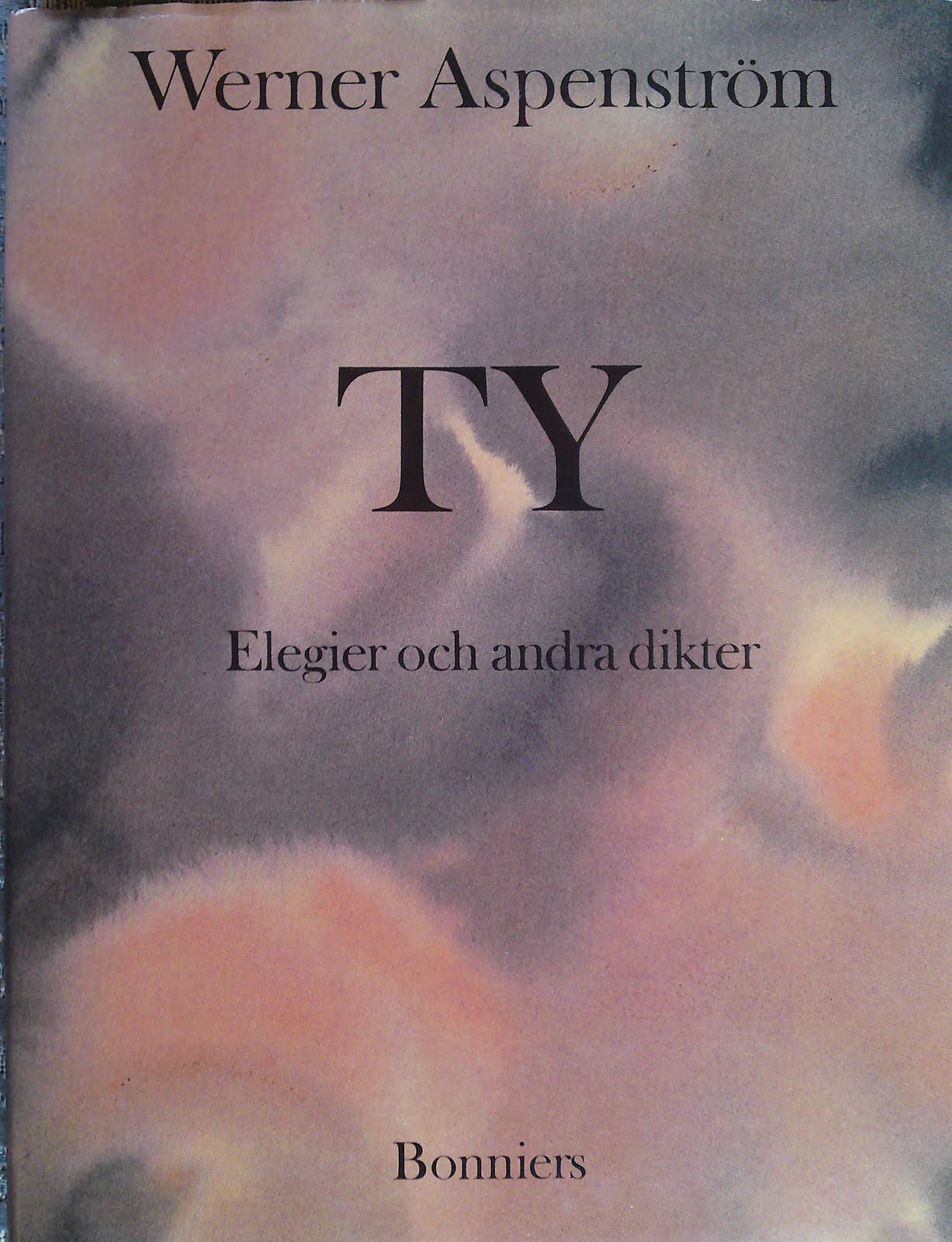 Ty book cover