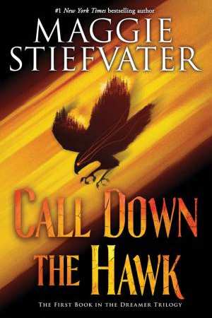 Call Down the Hawk (Dreamer, #1)