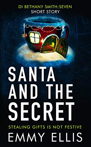 Santa and the Secret book cover