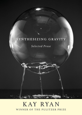 Synthesizing Gravity book cover