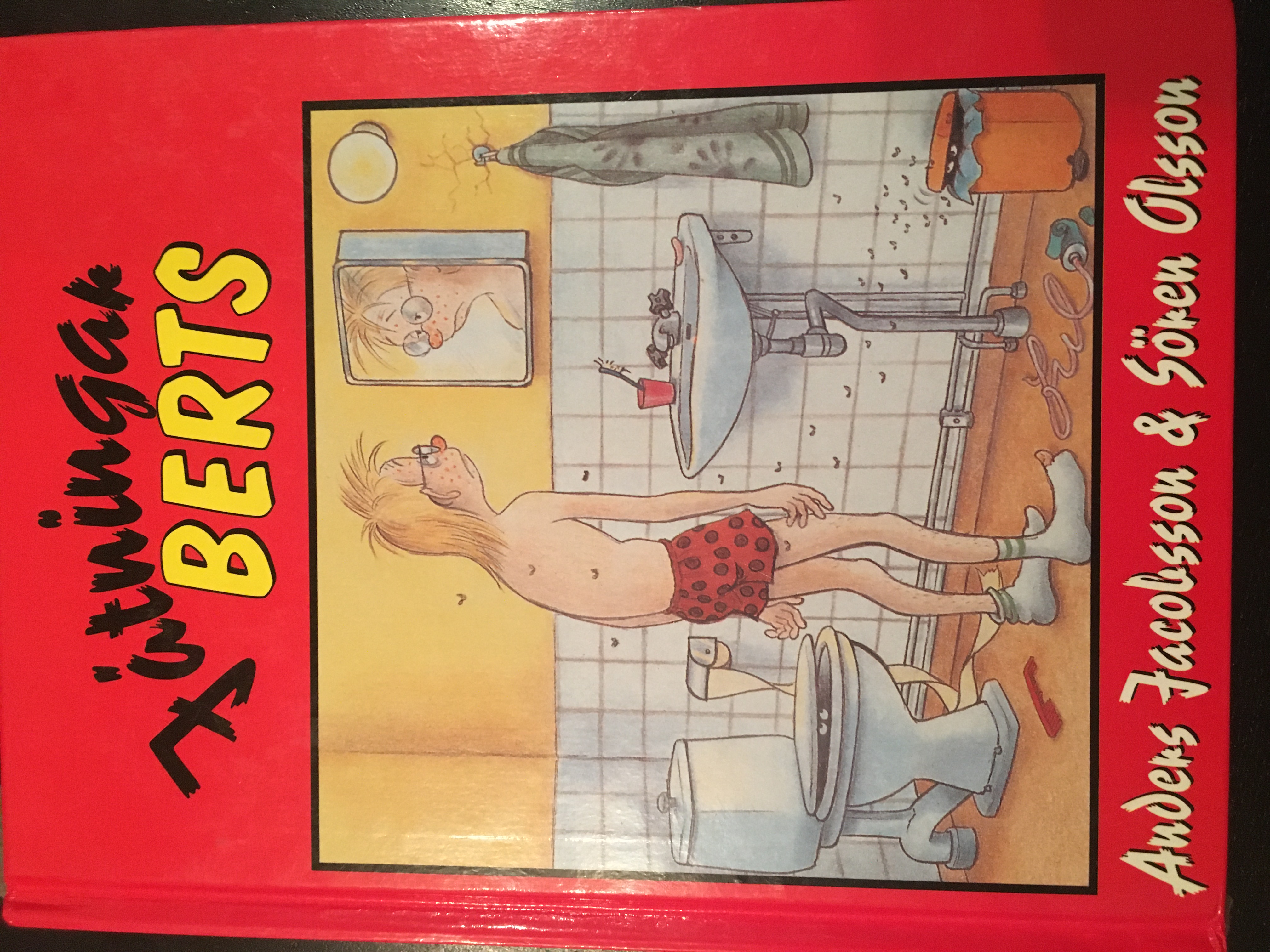 Játningar Berts book cover