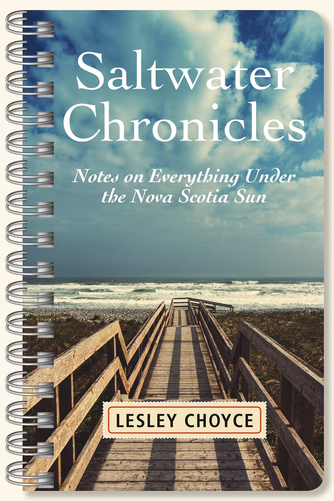 Saltwater Chronicles book cover