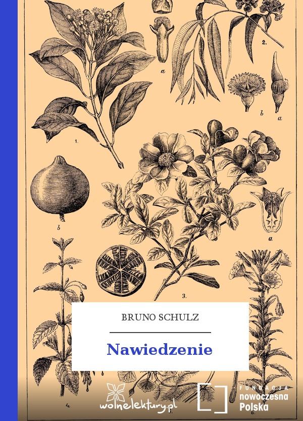 Nawiedzenie book cover