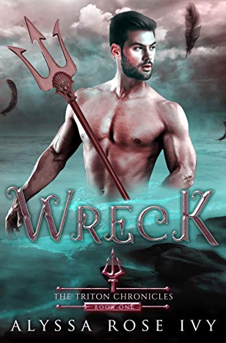 Wreck book cover