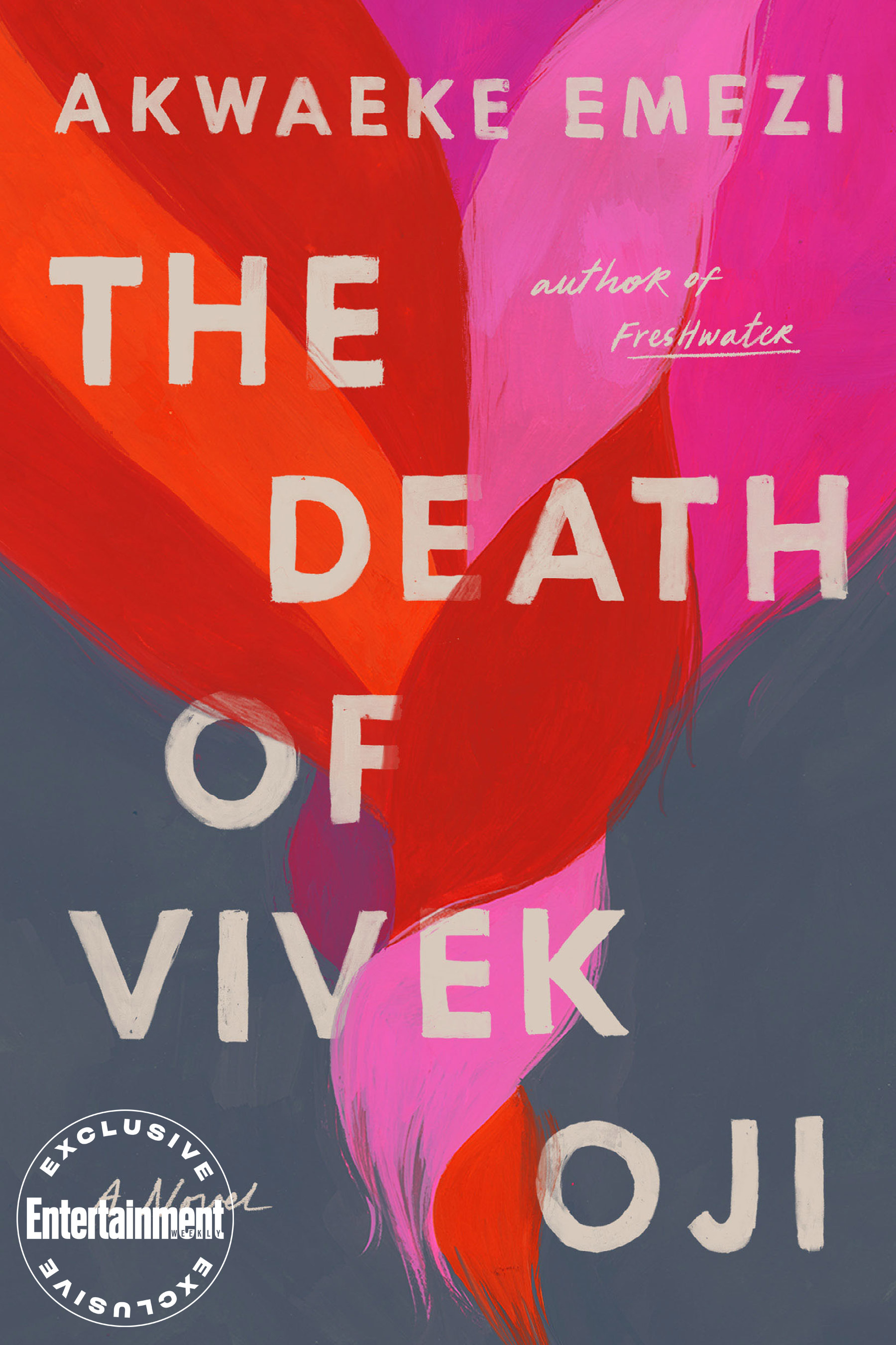 The Death of Vivek Oji