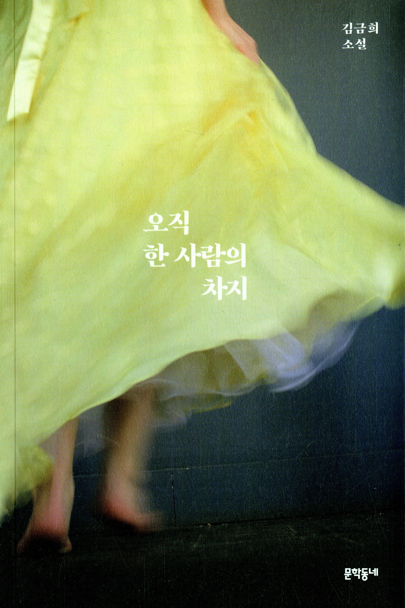 오직 한 사람의 차지 book cover