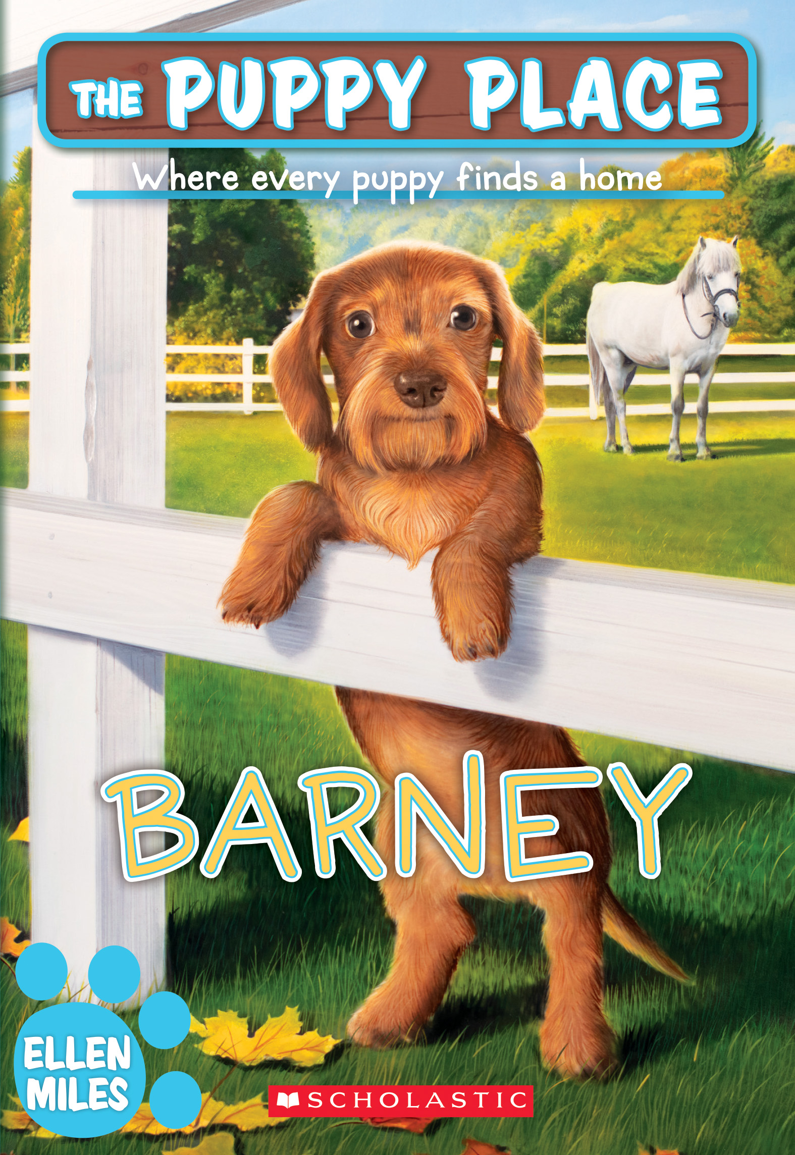 Barney book cover