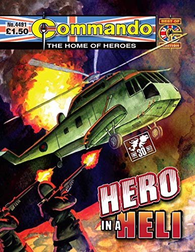 Commando #4491 book cover