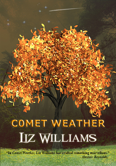 Comet Weather (Fallow Sisters #1)