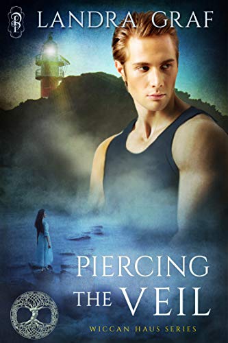 Piercing the Veil book cover