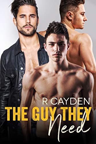 The Guy They Need book cover