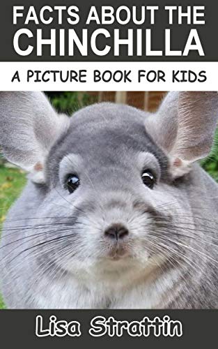 Facts About the Chinchilla