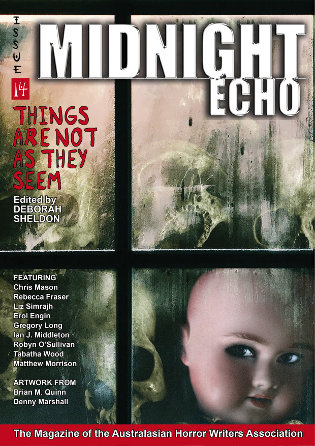 Midnight Echo 14 book cover