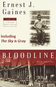The Sky Is Gray book cover