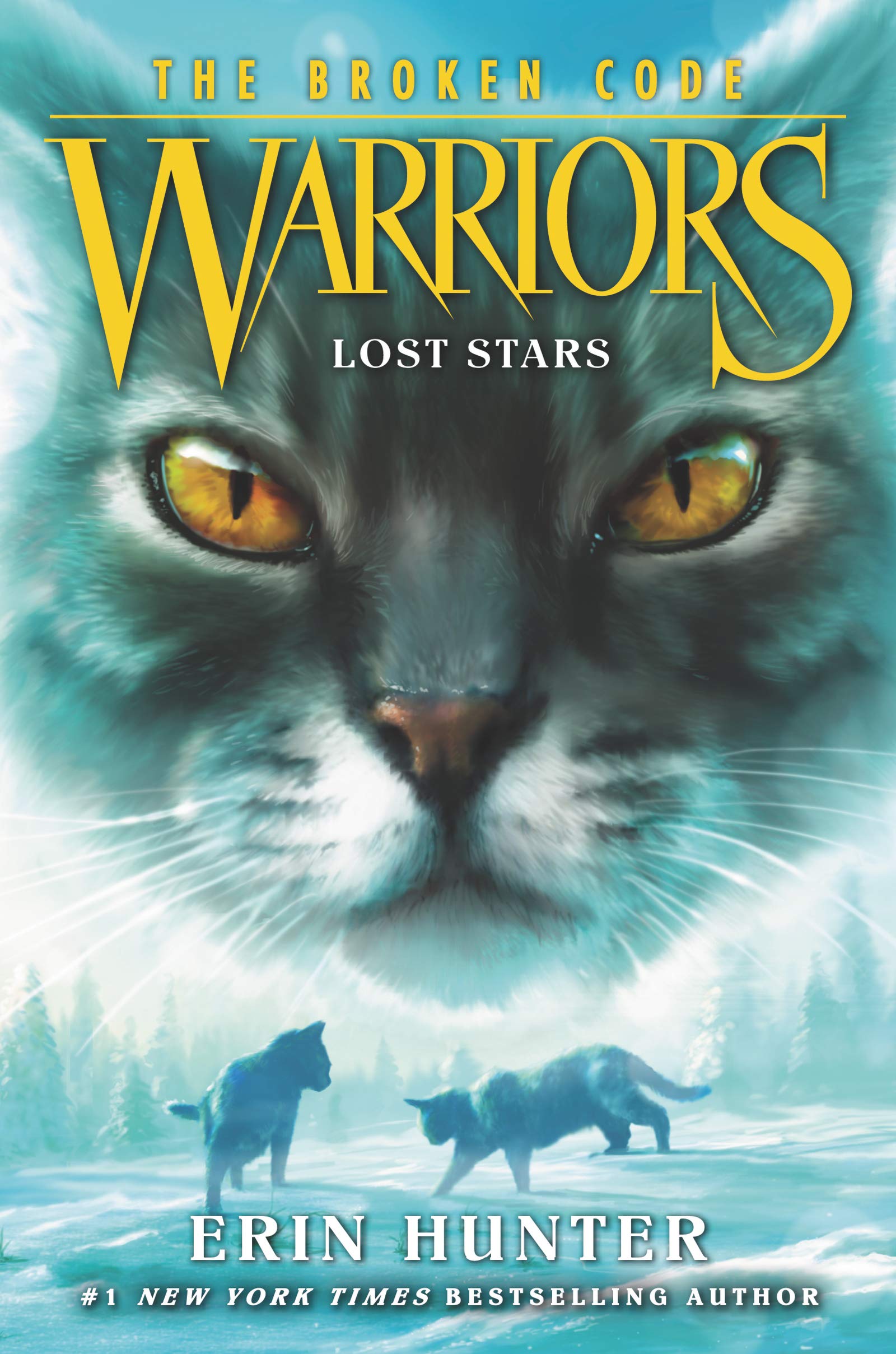 Lost Stars (Warriors: The Broken Code, #1)