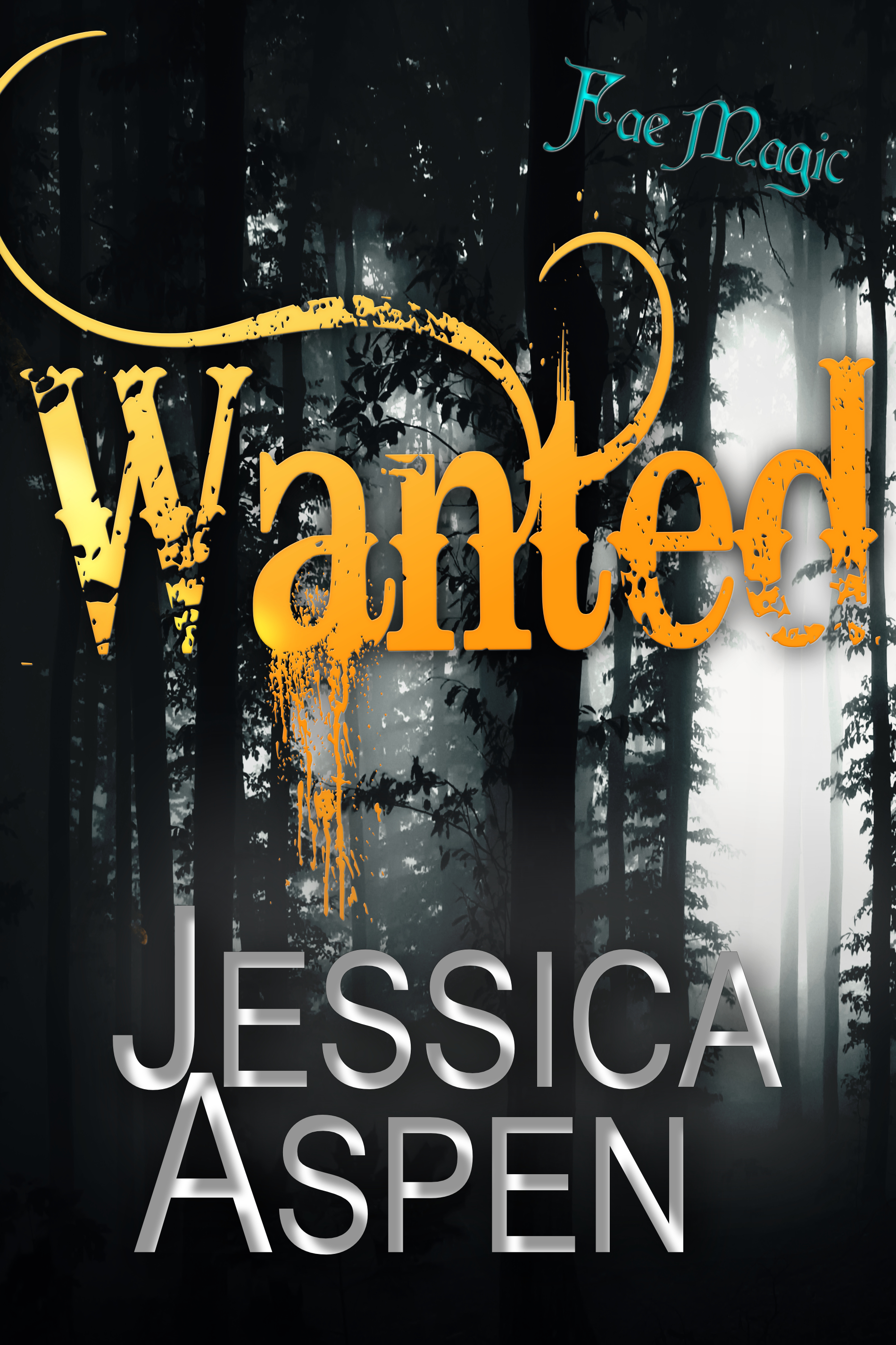 Wanted book cover