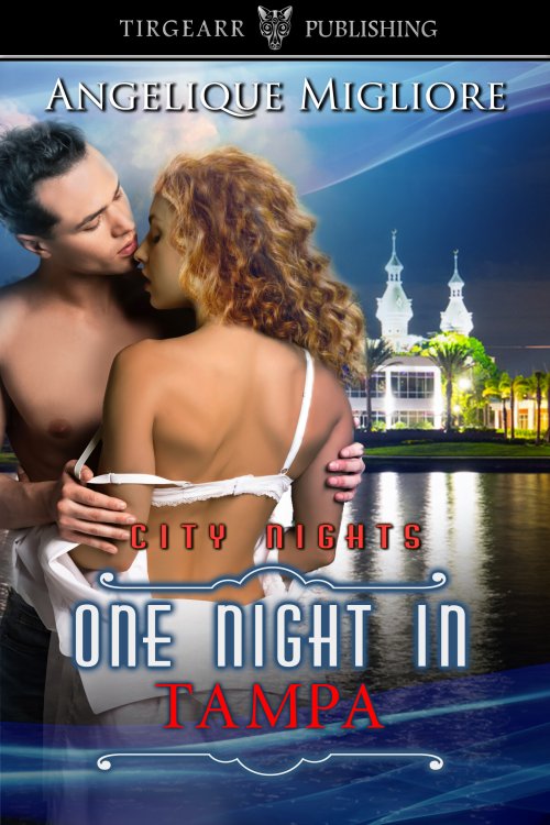 One Night in Tampa book cover