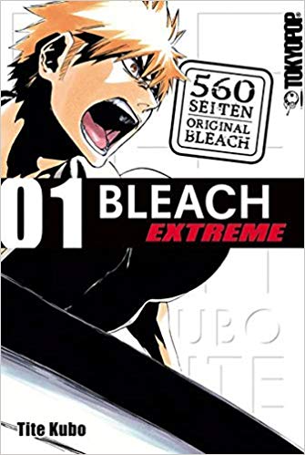 Bleach EXTREME 01 - Zufallsbegegnung