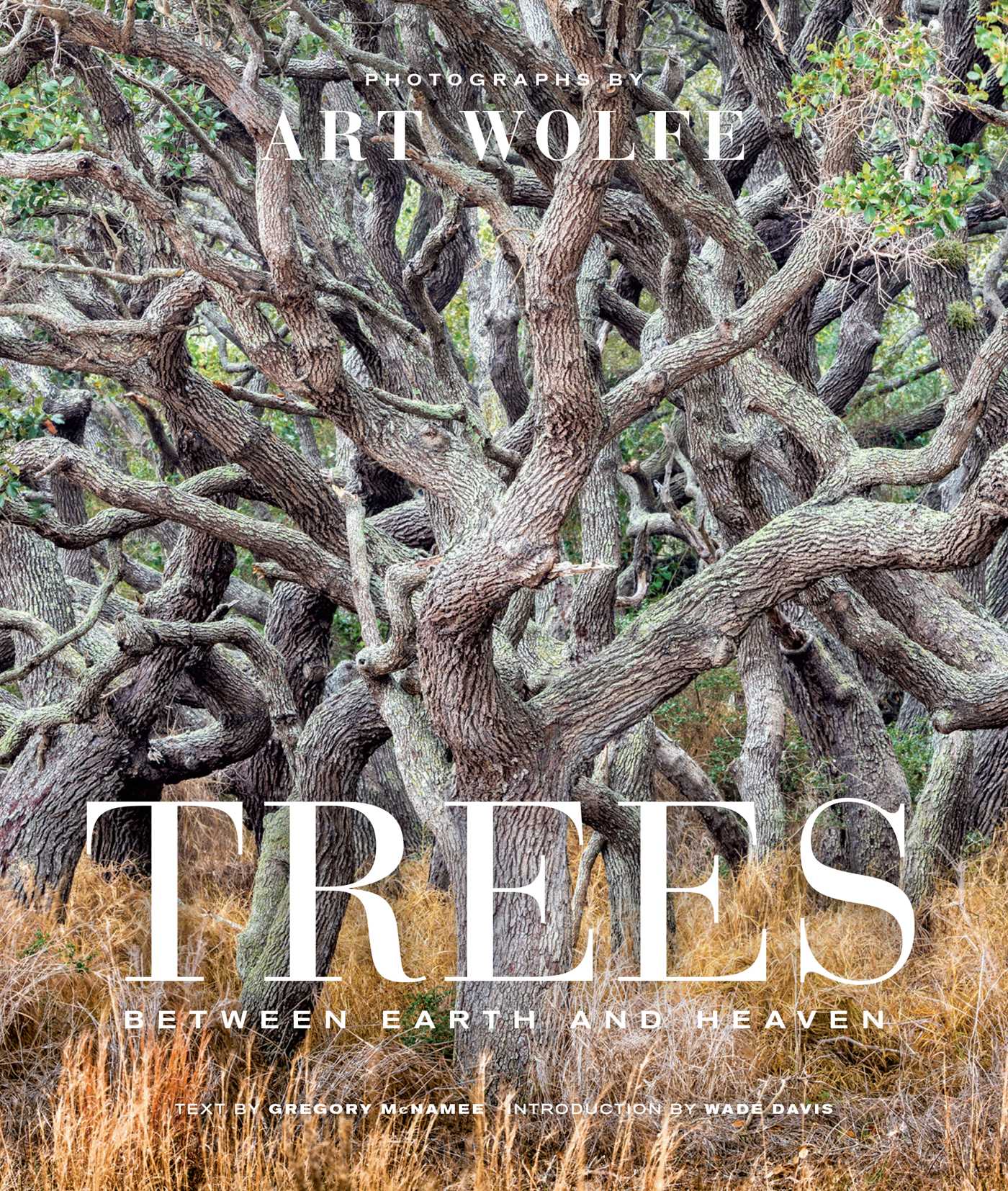 Trees (Gift Edition) book cover