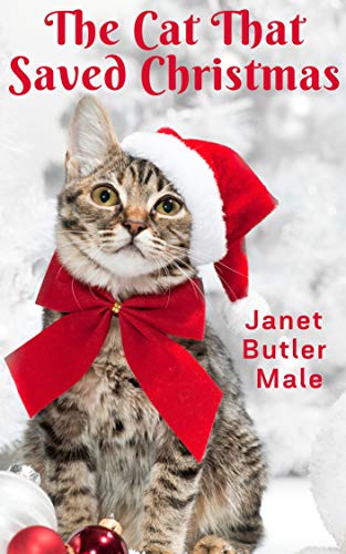 Can the Cat Save Christmas?: A short, snarky festive tale about second chances—and a slightly magical cat.