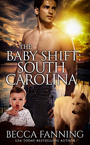 The Baby Shift book cover