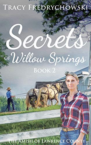 The Amish of Lawrence County book cover 2