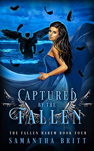 Captured by the Fallen book cover