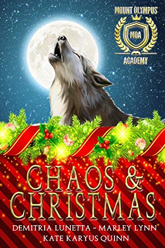 Chaos & Christmas book cover