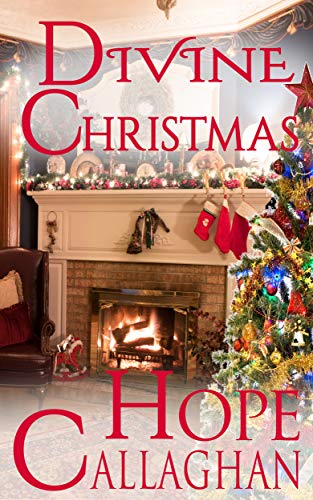 Divine Christmas book cover