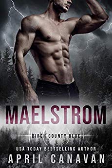 Maelstrom book cover