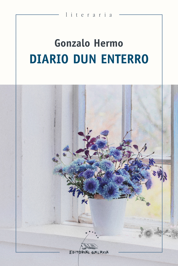 Diario dun enterro book cover