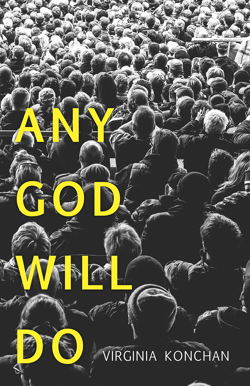Any God Will Do book cover