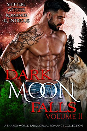 Dark Moon Falls book cover