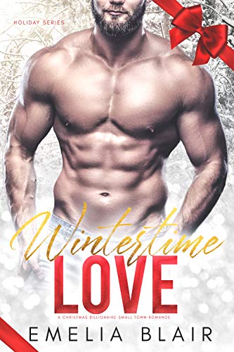 Holiday Series book cover 2