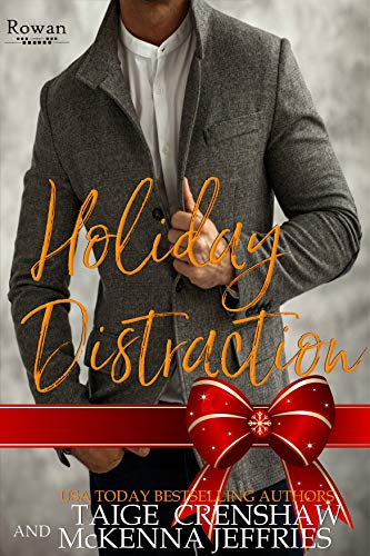 Holiday Distraction book cover