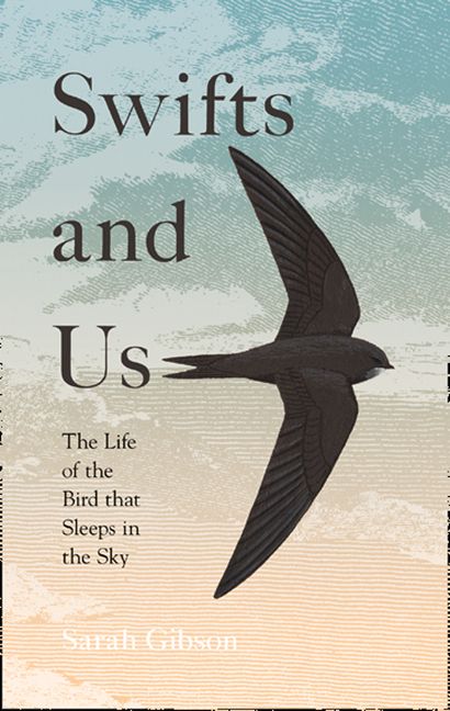 Swifts and Us: The Life of the Bird that Sleeps in the Sky