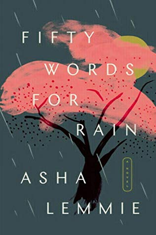 Fifty Words for Rain