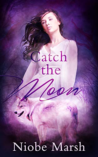 Catch the Moon book cover