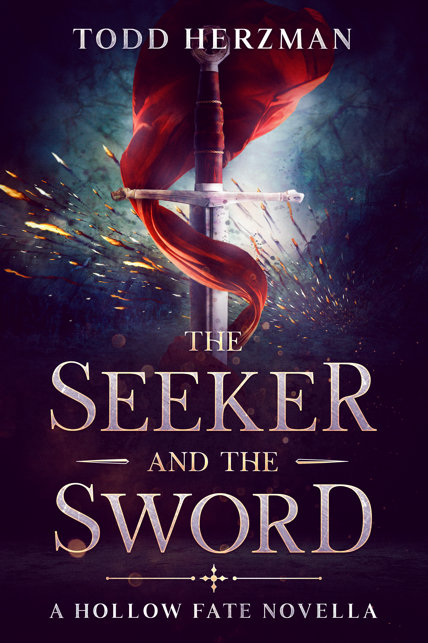 The Seeker and the Sword book cover
