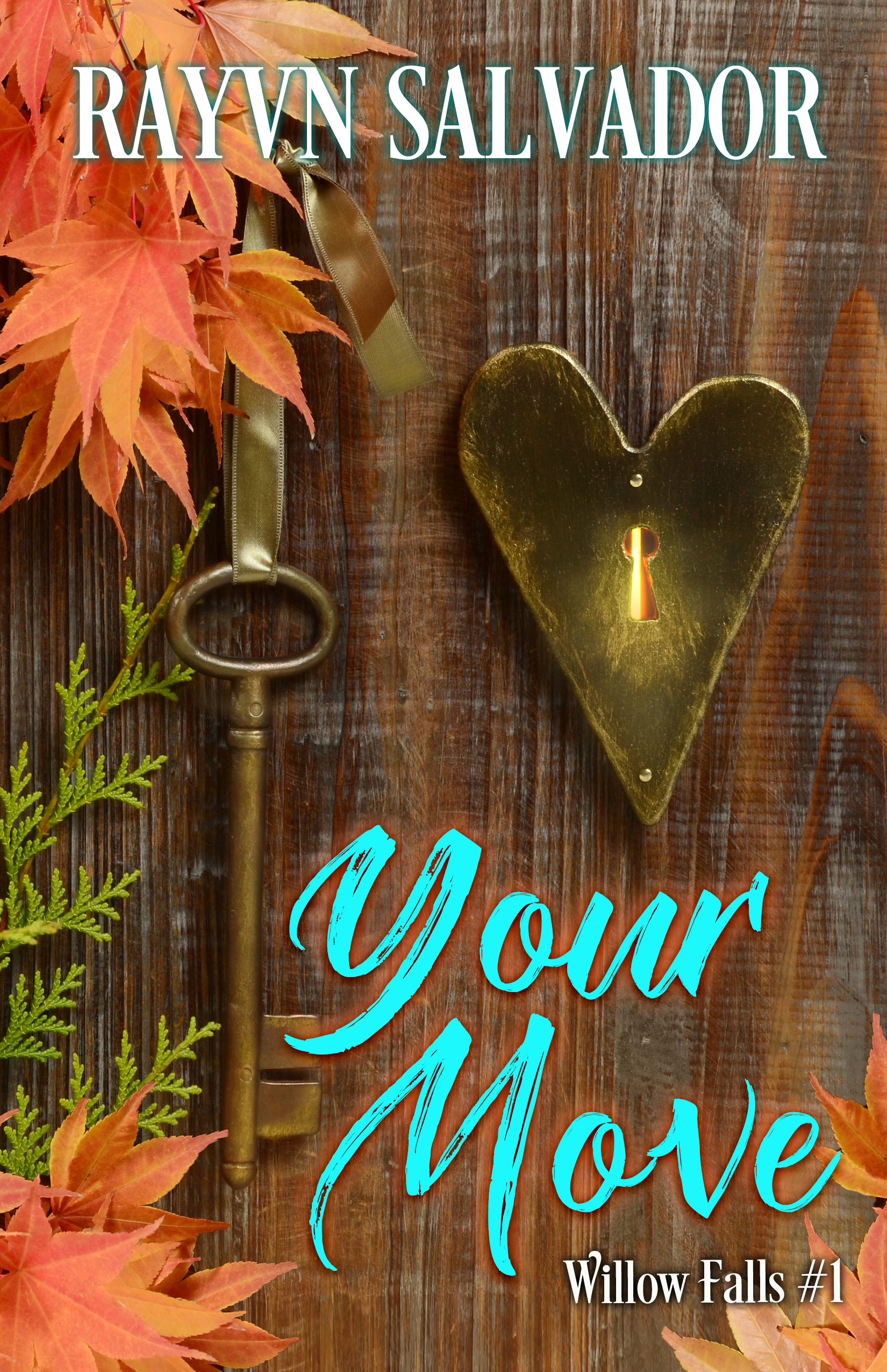 Willow Falls book cover 1