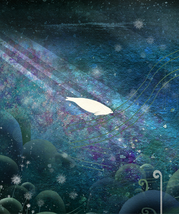 Her Seal Skin Coat book cover