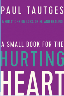 A Small Book for the Hurting Heart: Meditations on Loss, Grief, and Healing