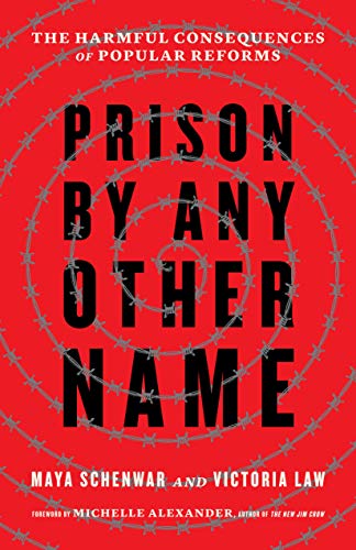 Prison by Any Other Name: The Harmful Consequences of Popular Reforms