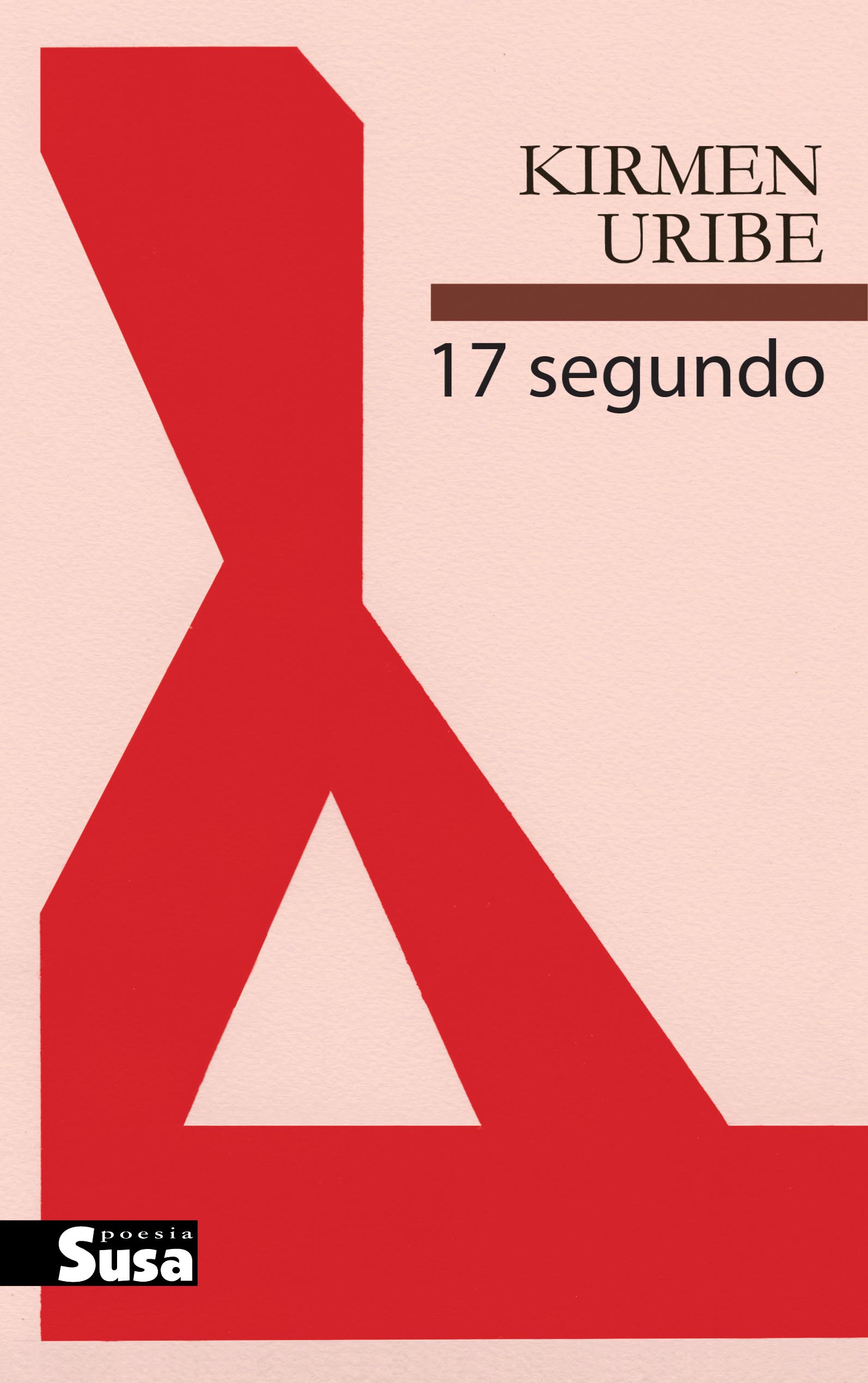 17 segundo book cover