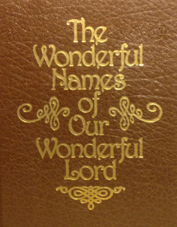 The Wonderful Names of Our Wonderful Lord by T.C. Horton | Goodreads