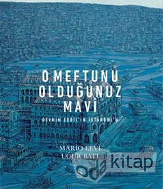 O Meftunu Olduğunuz Mavi book cover
